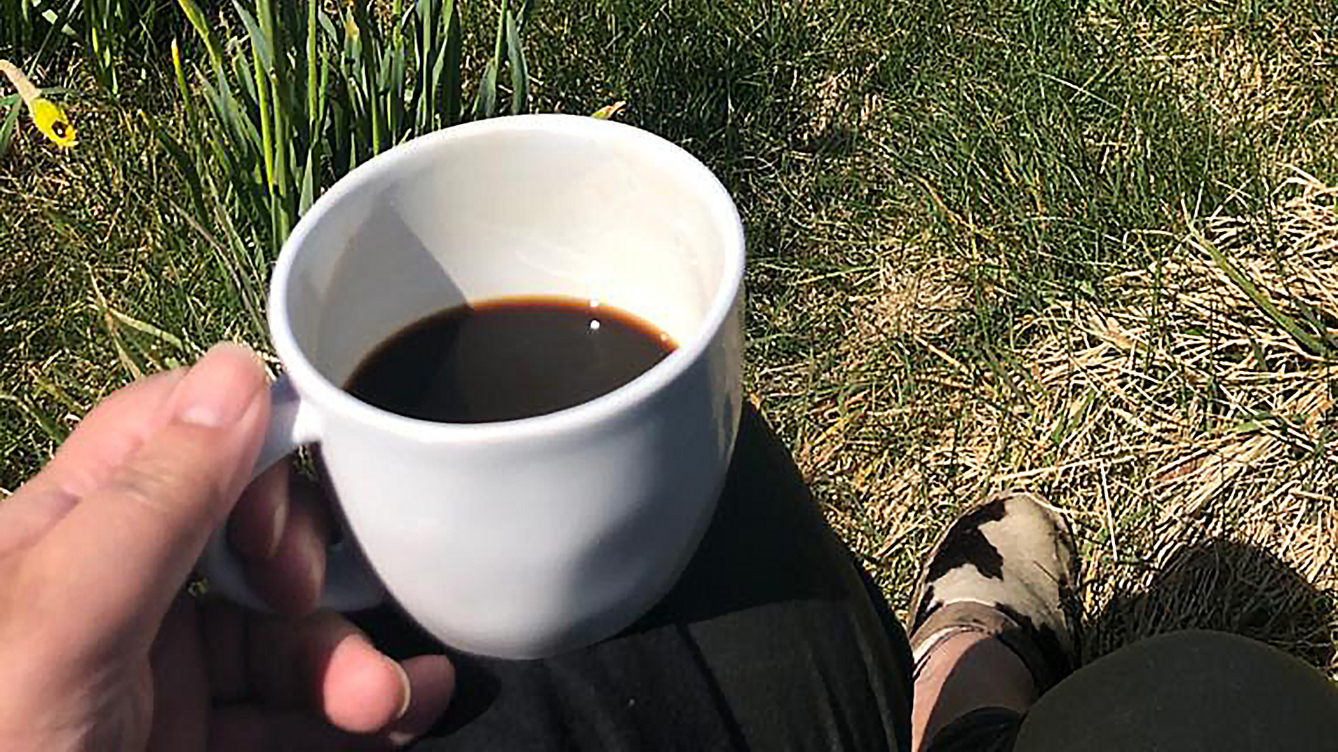 Coffee break in the garden